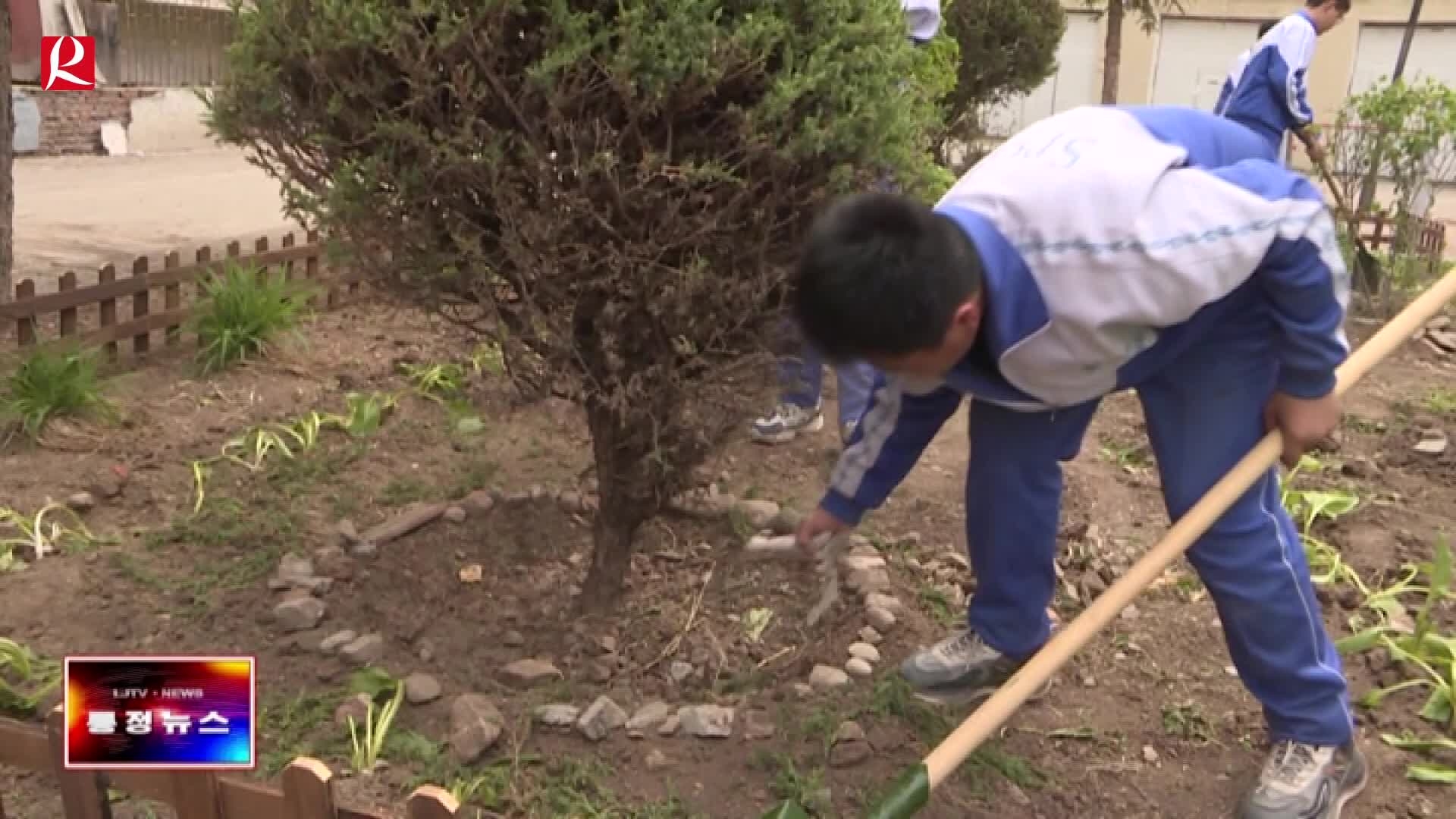 【룡정뉴스】안민가두 승룡사회구역서 생태가원 공동 건설활동 전개