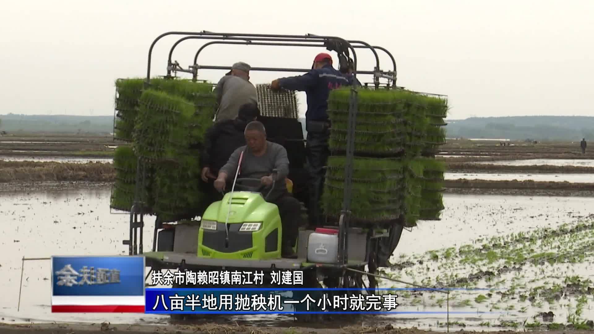 直通县市区2023年5月29日扶余     扶余市水稻抛秧提高耕作效率 提高产量促增收VA0