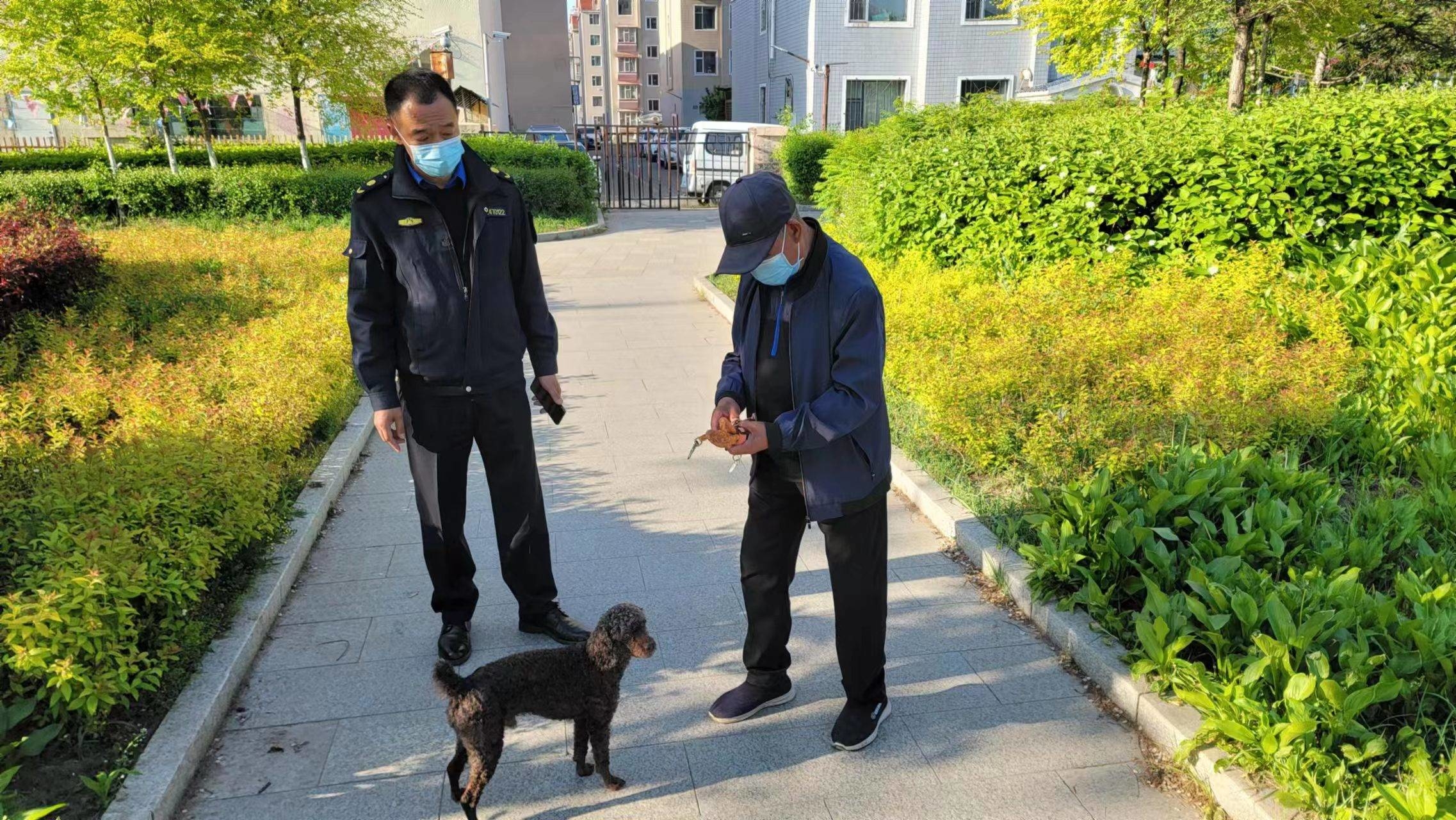 延吉市城管局开展“不文明养犬”行为专项整治行动