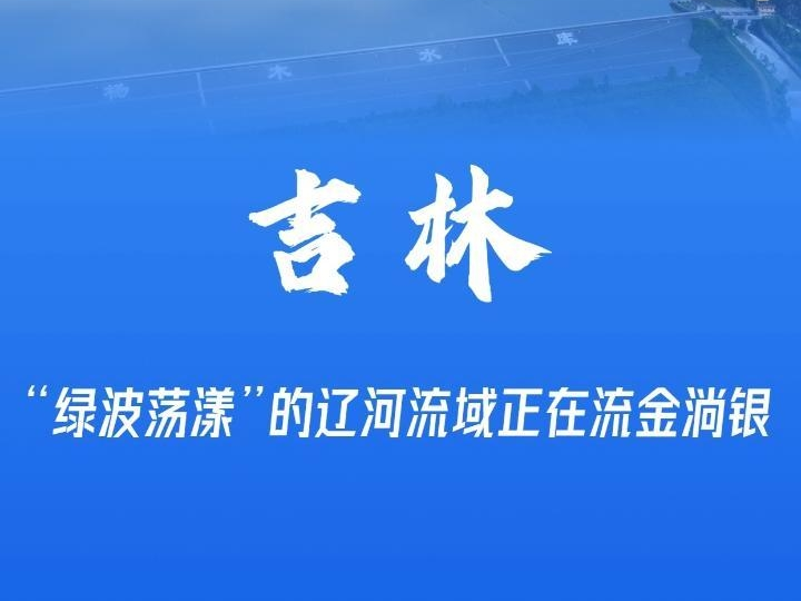 ​领先全国平均水平1.6个百分点！前4月吉林省规上服务业跑出“加速度”