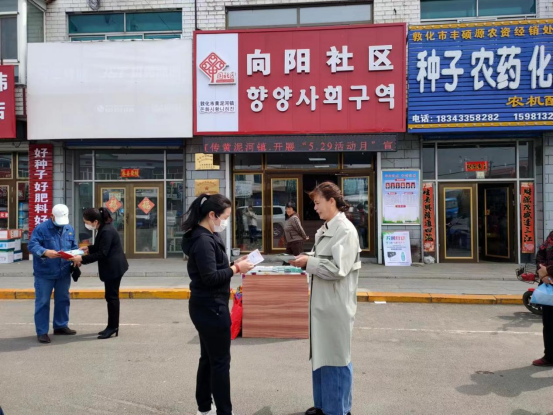黄泥河镇开展优生优育健康知识宣传活动