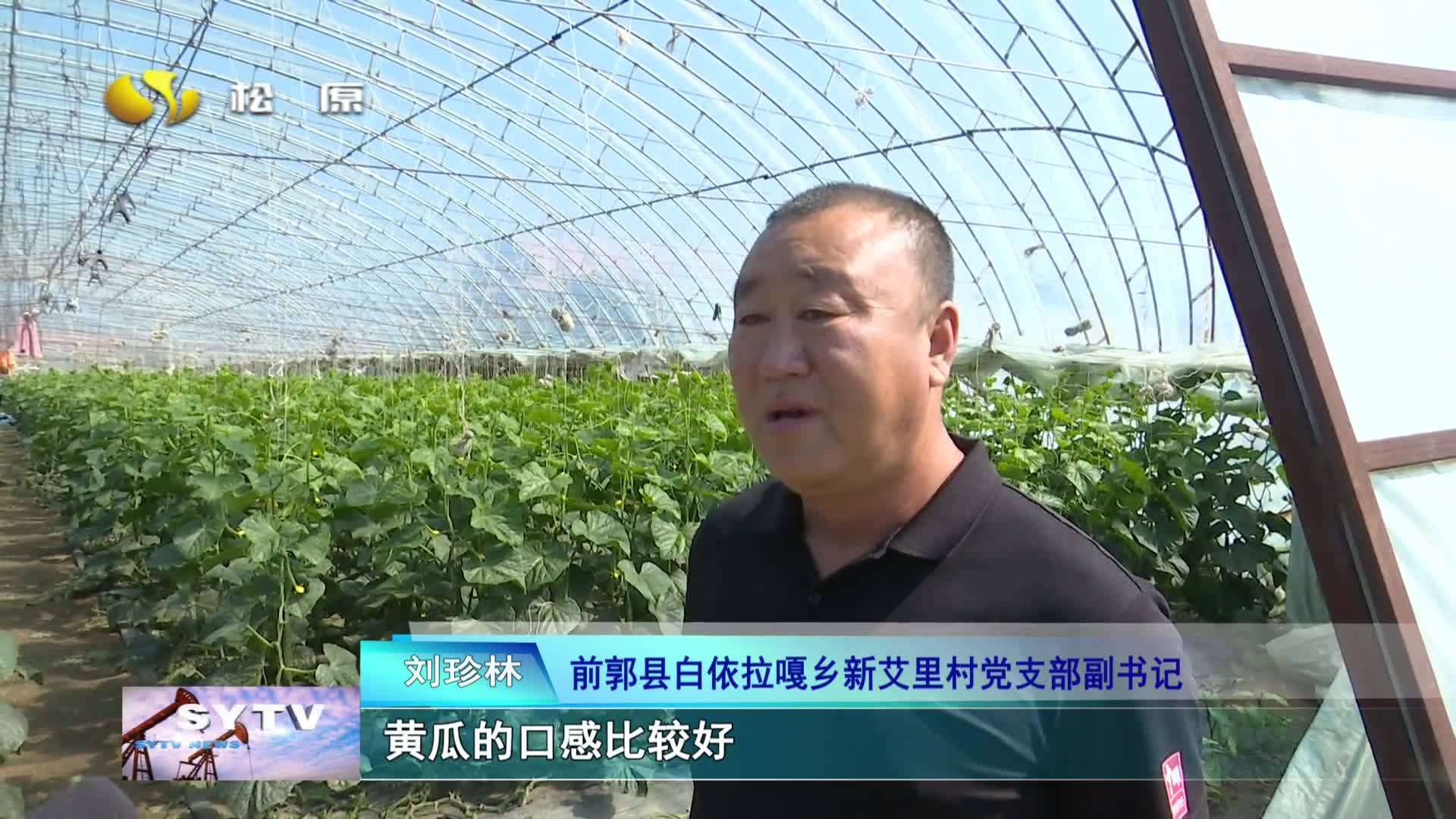 “闲置棚”变“致富棚”水田乡里果菜香