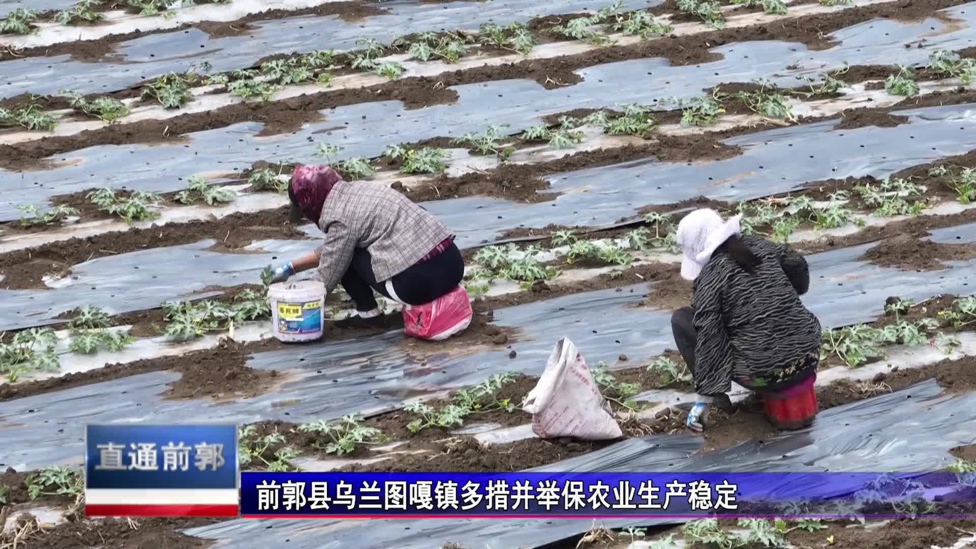 直通县市区2023年6月27日前郭     前郭县乌兰图嘎镇多措并举保农业生产稳定VA0