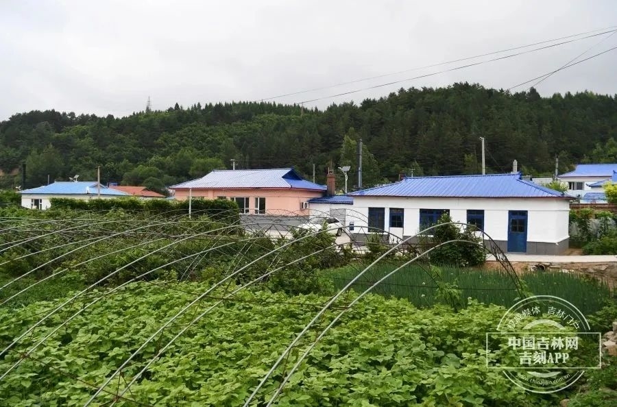 大美边疆·这里是吉林丨“清水绕人家”的石岘镇向阳村