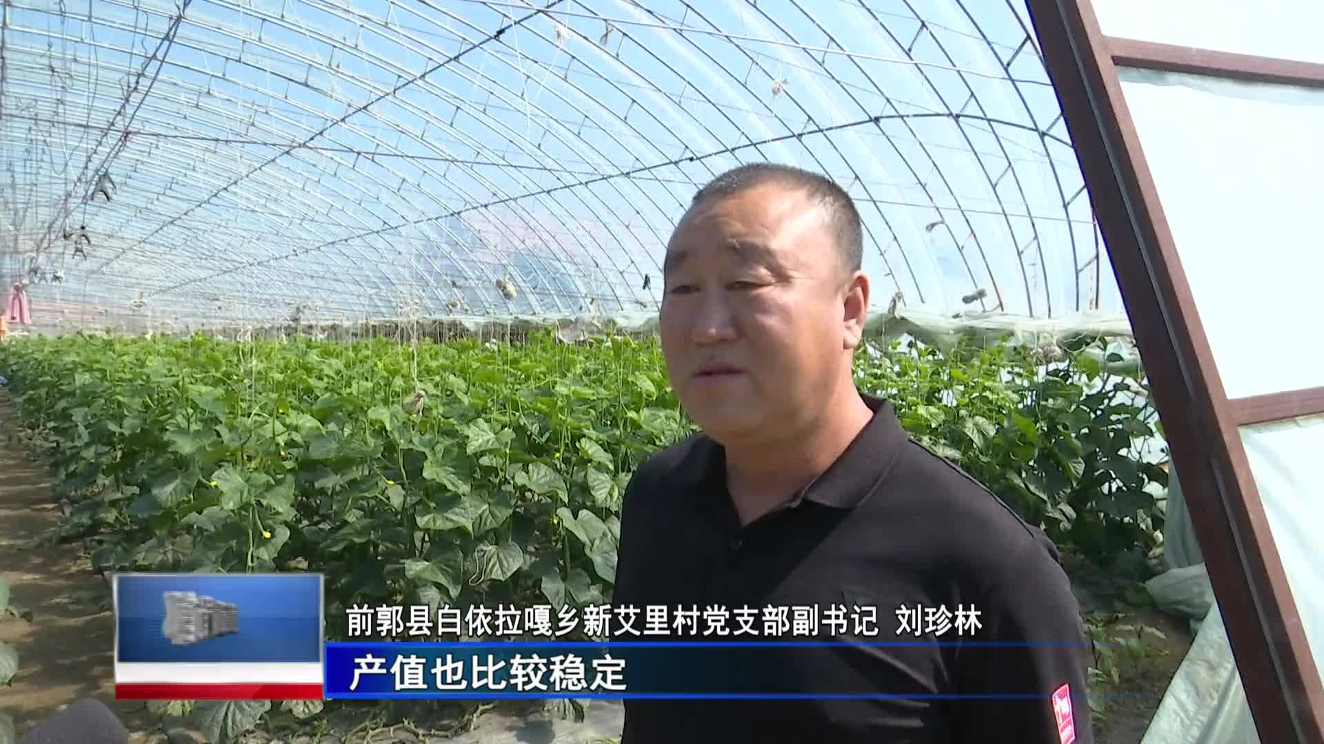直通县市区2023年7月4日前郭     乡村振兴进行时  “闲置棚”变“致富棚” 水田乡里蔬菜香VA0
