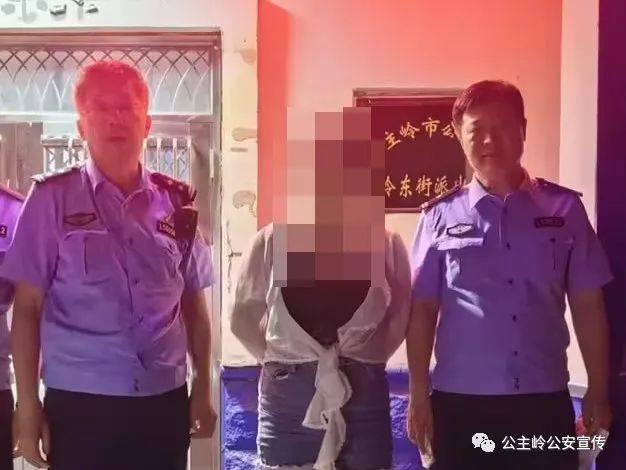 夏季治安打击整治“百日行动”丨岭东派出所：成功抓获1名网上在逃人员