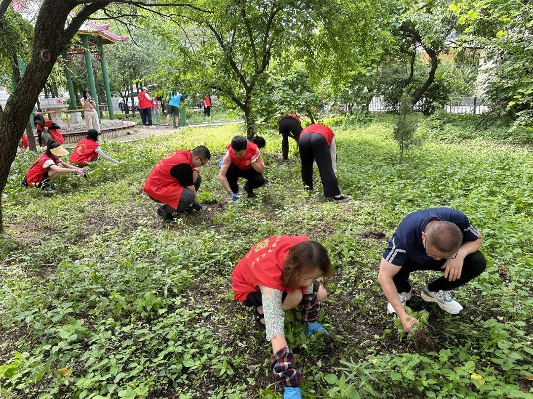 临江市建国街道 | 清除辖区杂草 改善人居环境