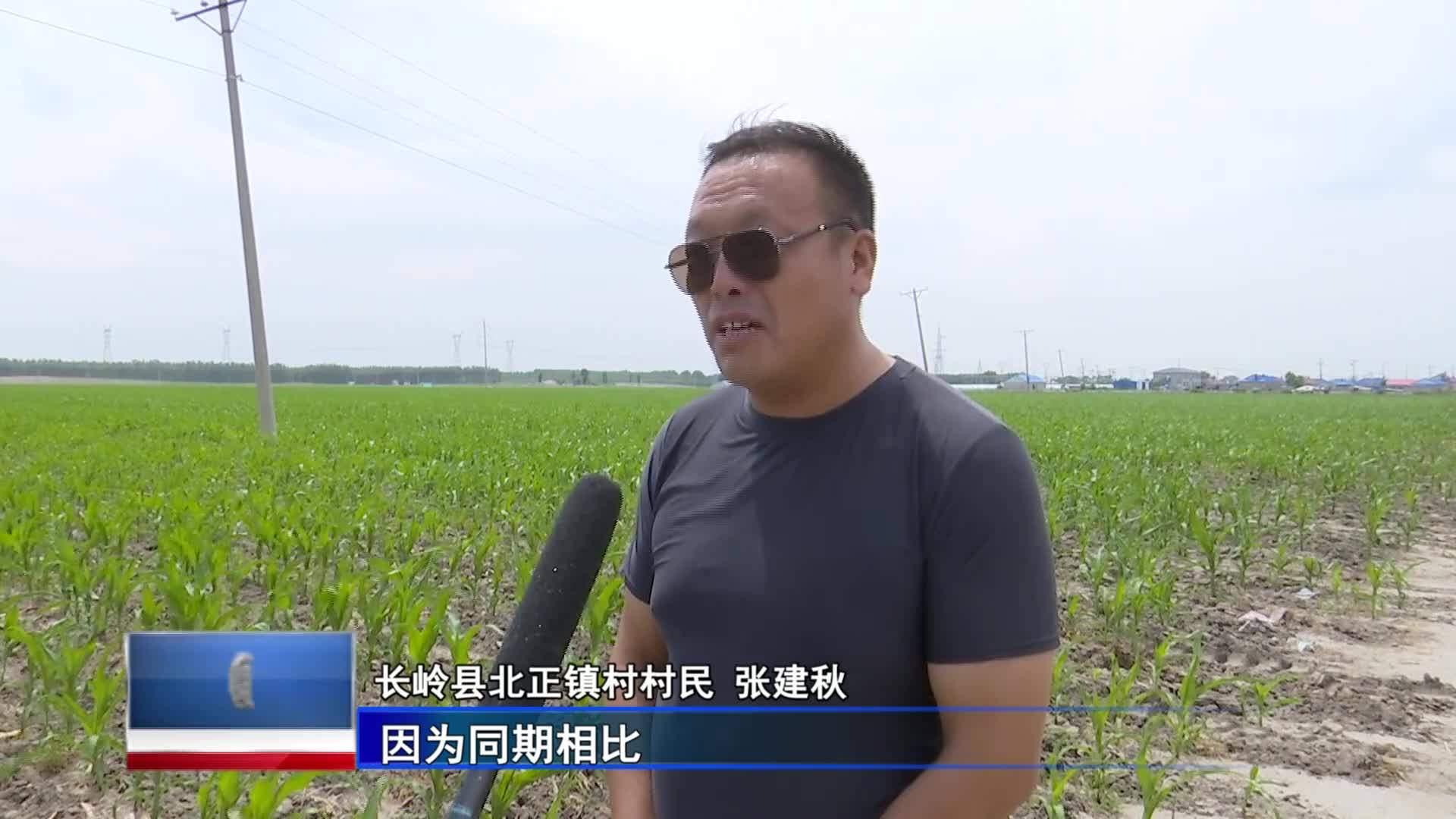 直通县市区2023年7月12日长岭    新时代 新征程 新伟业  长岭：黑土地上生机无限VA0