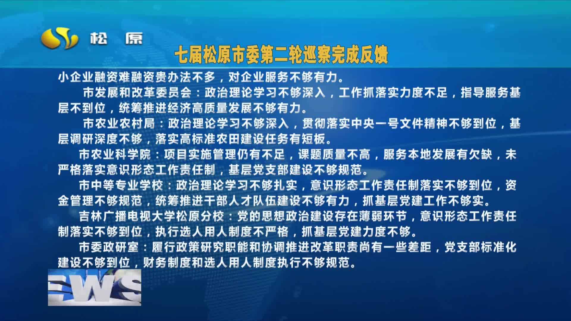 七届松原市委第二轮巡察完成反馈