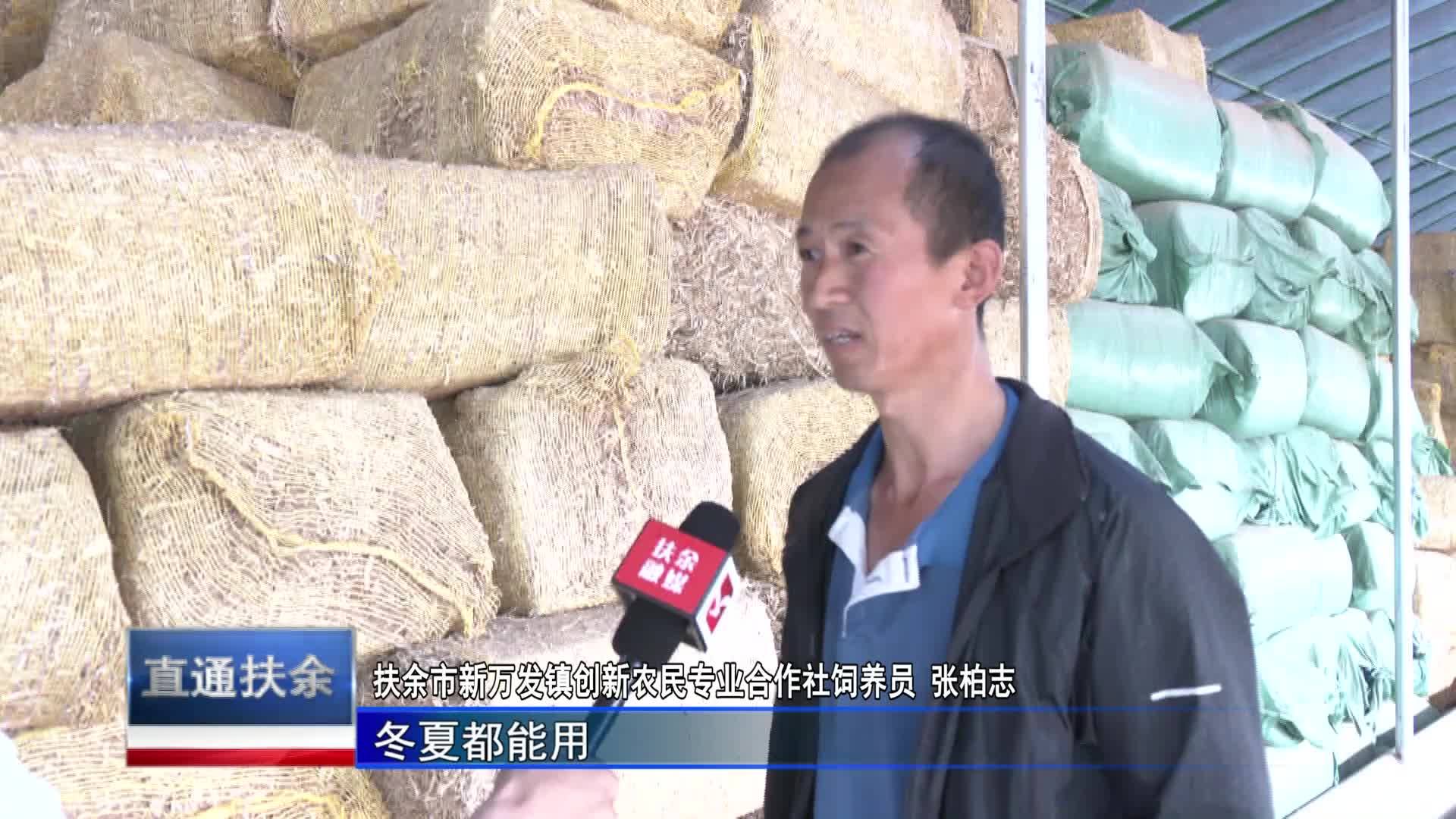 直通县市区2023年7月17日扶余     乡村振兴进行时  秸秆变废为宝 综合利用效益高VA0