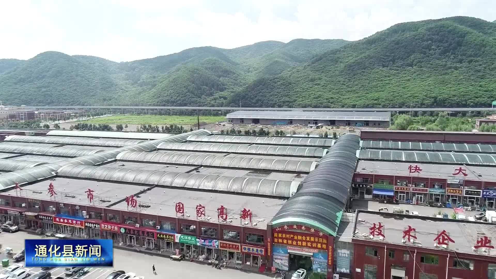 2023年8月2号通化县新闻