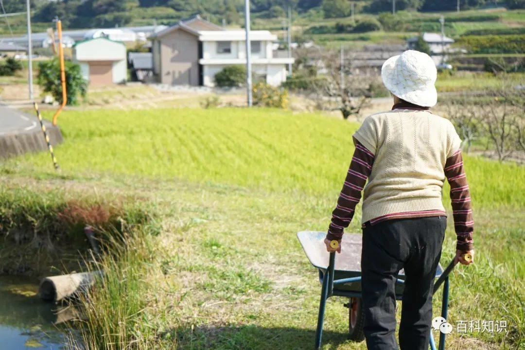 百科知识丨体温低更长寿