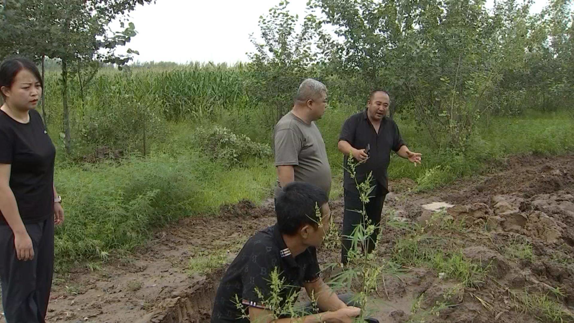 兴隆镇：疏通排涝沟渠  生命财产保安全