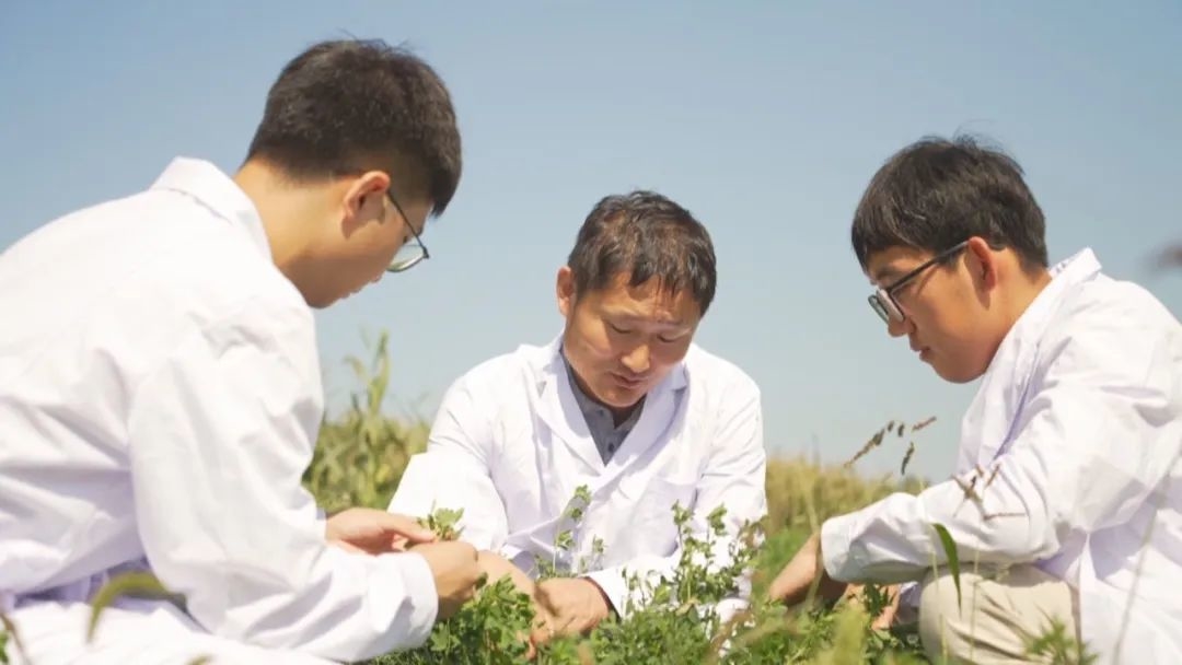 (牢记嘱托 踔厉奋进）吉林：保护黑土地 建设大粮仓