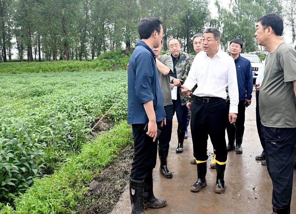 王子联到榆树市检查督导防汛工作时强调：守土有责守土负责守土尽责 全力以赴确保安全平稳度汛