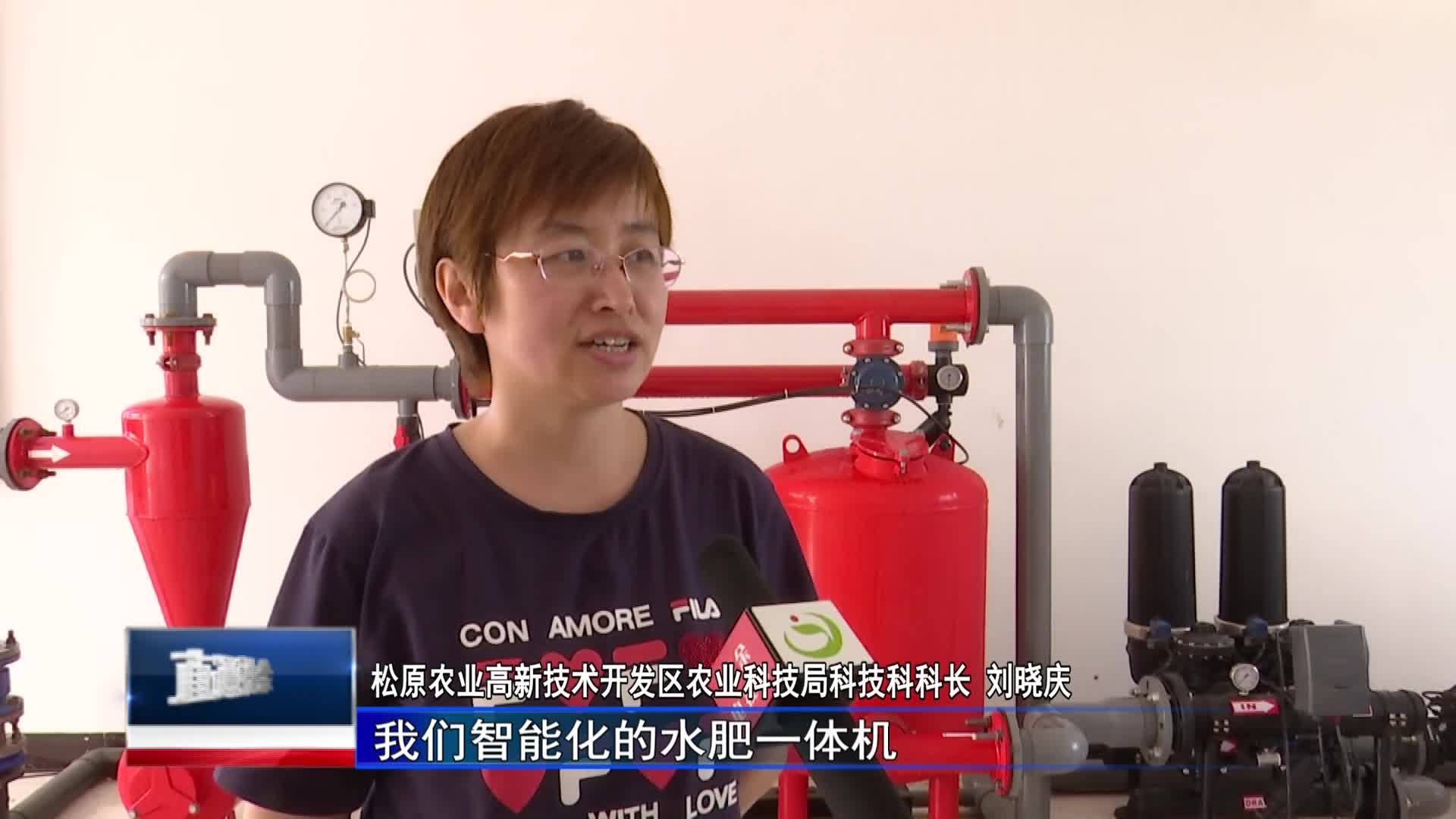 直通县市区2023年8月7日扶余     新时代 新征程 新伟业  玫瑰产业绽“钱”景  铺就“芳香”致富路VA0