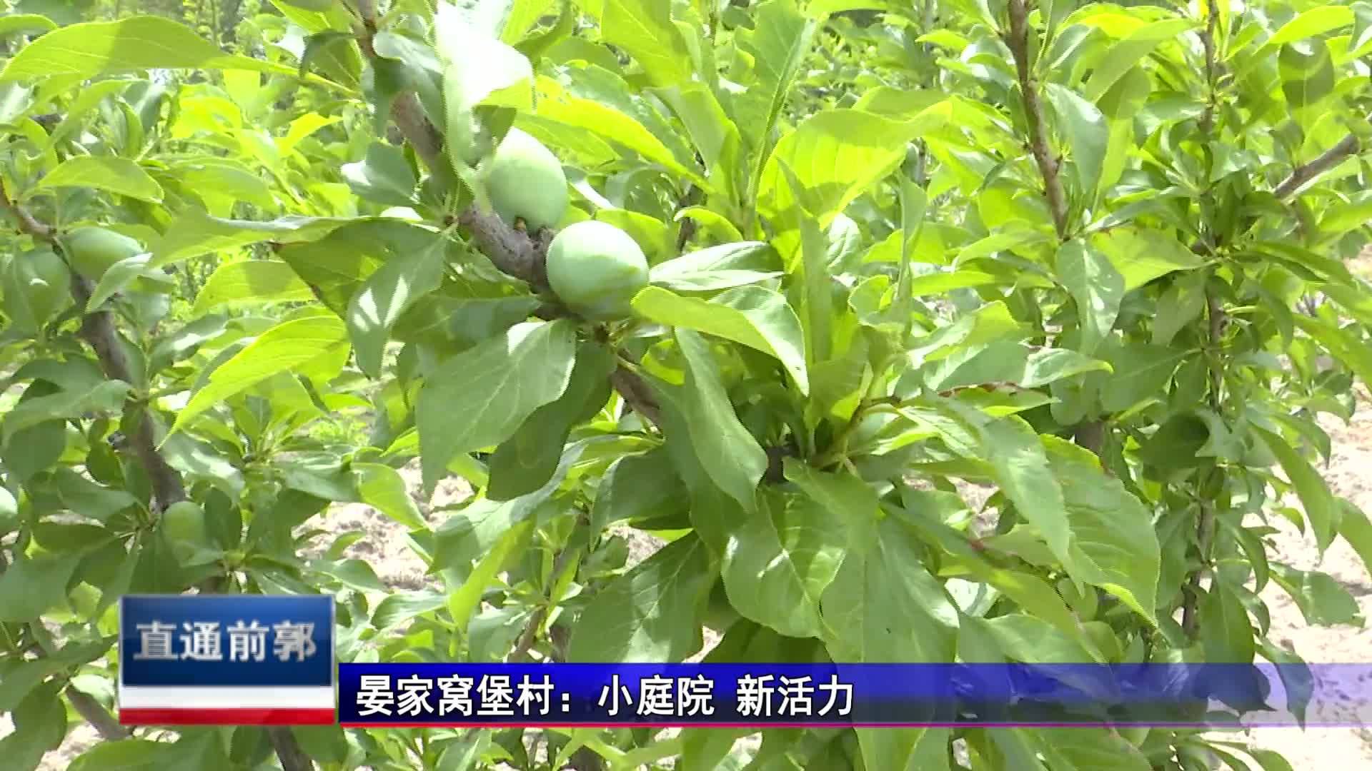 直通县市区2023年8月8日前郭    晏家窝堡村：小庭院 新活力VA0