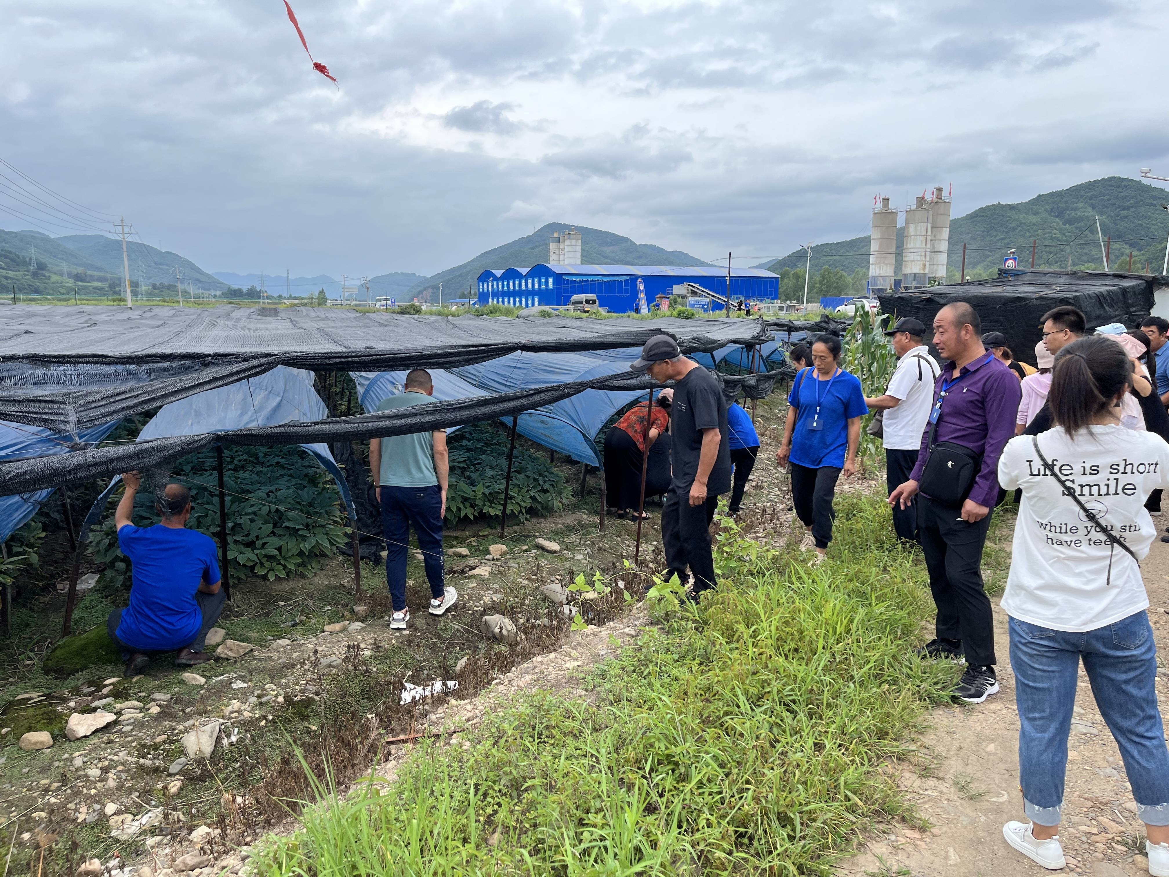 吉林省桦甸市农业农村局组织中药材种植大户到集安市榆林镇参观学习