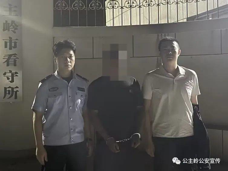 夏季行动丨二十家子派出所：快速破案擒窃贼 追赃挽损保民安