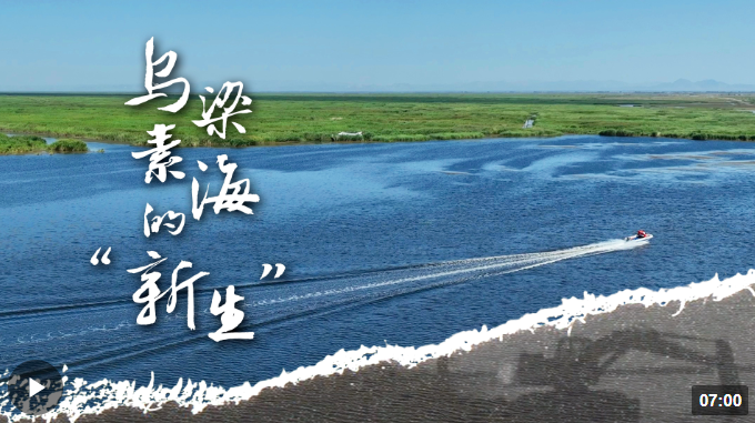 时政长镜头丨乌梁素海的“新生”