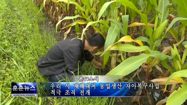 우리 시 재해대처 농업생산 자아복구사업 적극 조직 전개