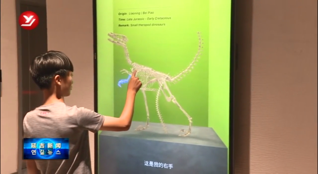 恐龙博物馆２号馆完成数字化提升重新开放