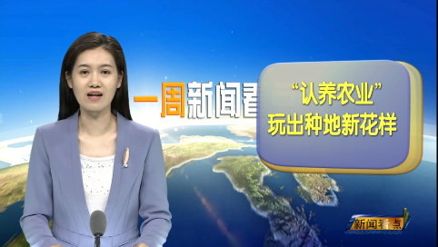 20230826一周新闻看点