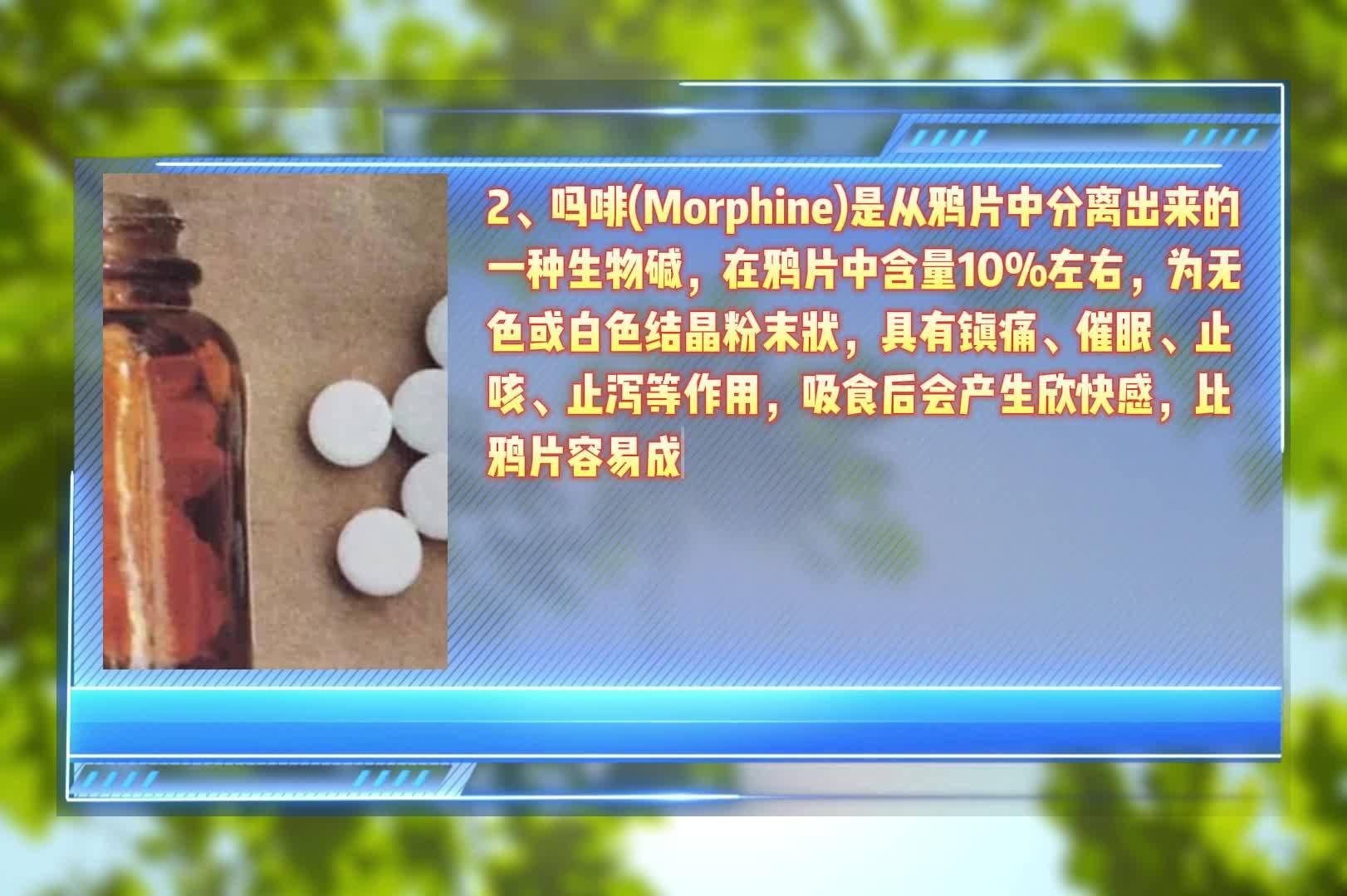 毒品的种类及危害——传统毒品篇