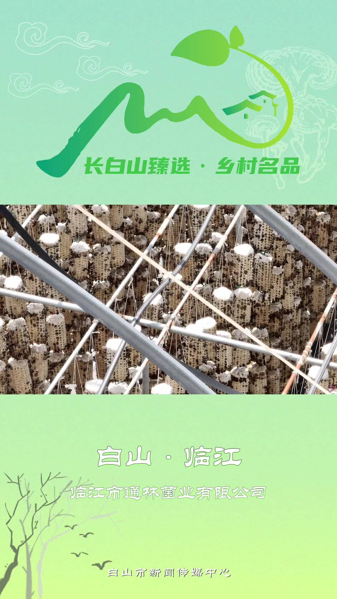 长白山臻选·乡村名品-临江市通林菌业有限公司