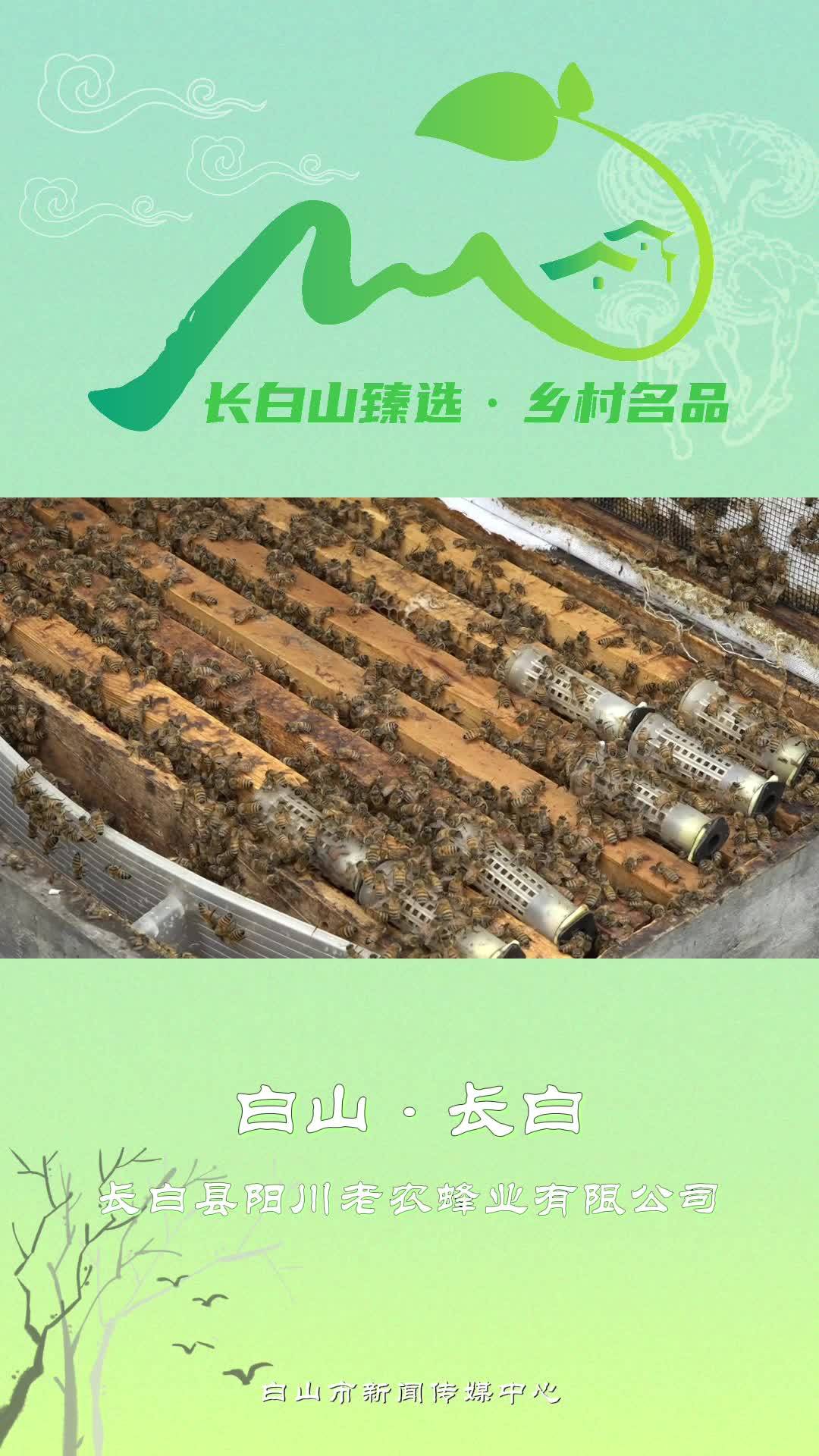 长白山臻选·乡村名品-长白县阳川老农蜂业有限公司