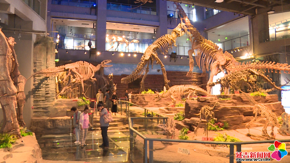 延吉恐龙博物馆“九三”当天共接待游客3700人次