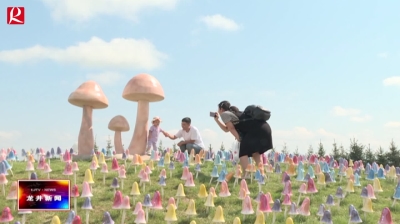【龙井新闻】我市新增休闲体验好去处-- “蘑菇村庄”