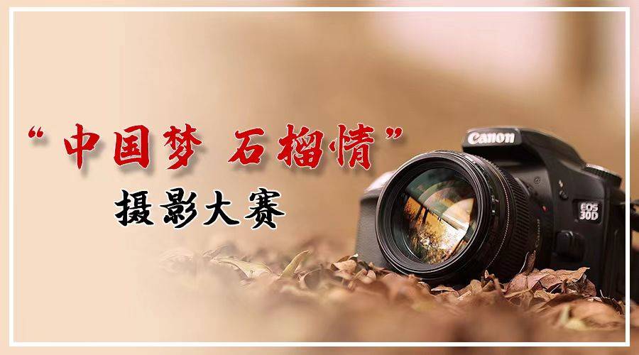 “中国梦 石榴情”摄影大赛投票入口