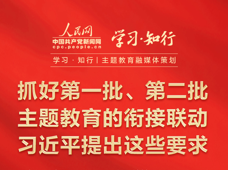 抓好第一批、第二批主题教育的衔接联动 习近平提出这些要求