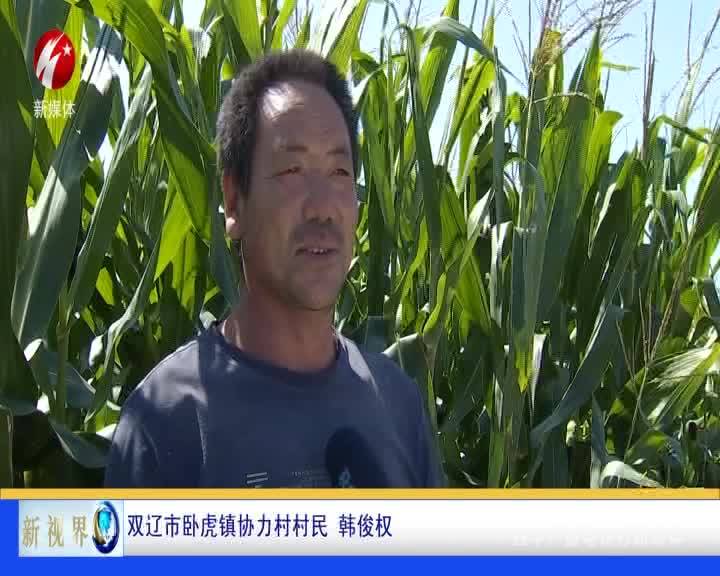 双辽市“一喷多促”稳生产 科技助农保丰收