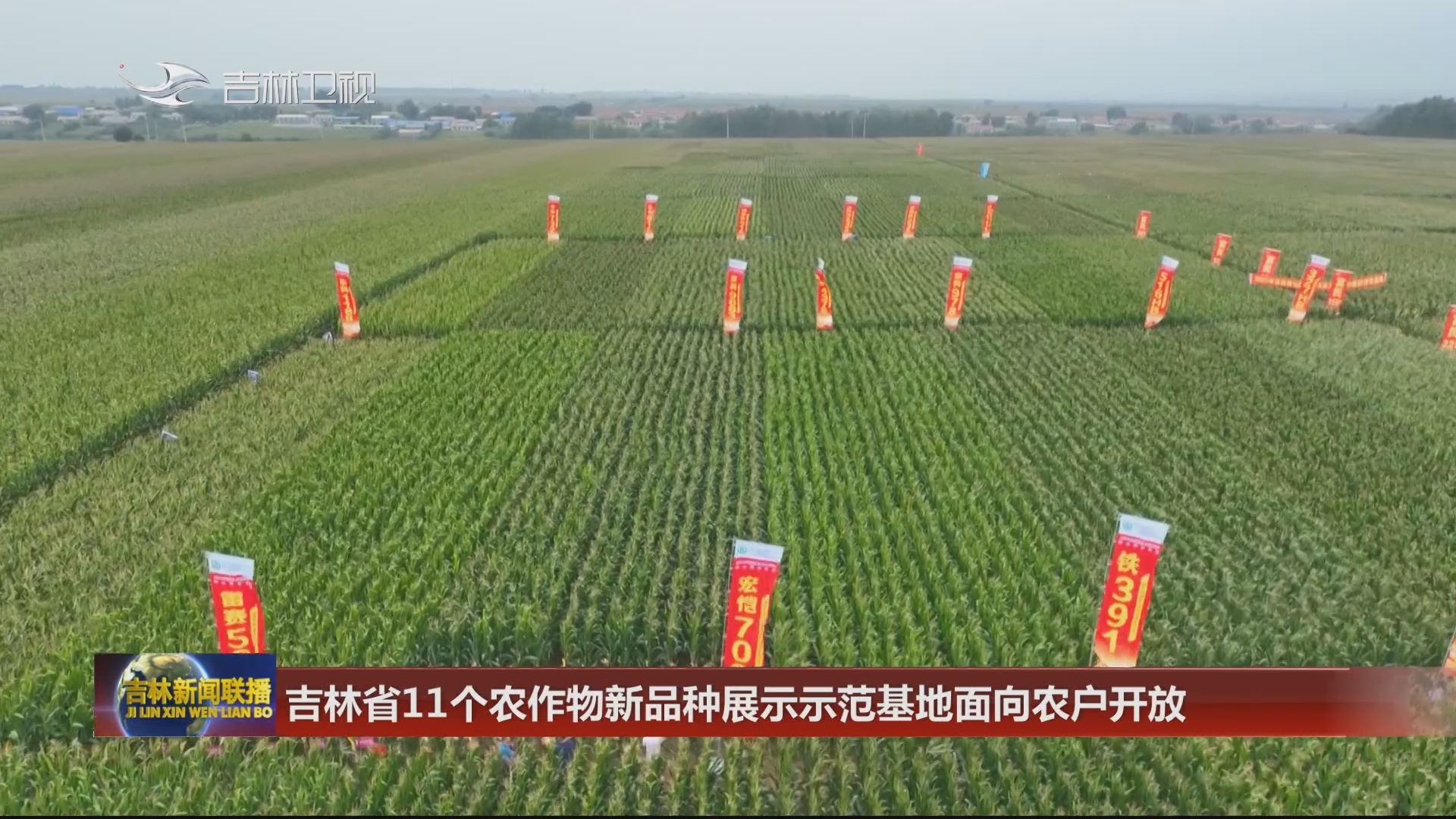 吉林省11个农作物新品种展示示范基地面向农户开放