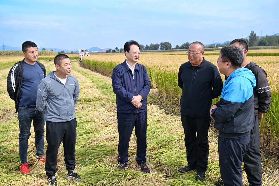 景俊海胡玉亭与农民群众共庆中国农民丰收节