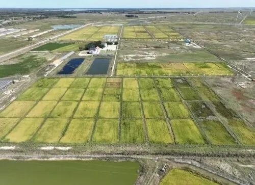 稻花香里说丰年丨太空视角俯瞰锦绣吉林画卷，大国粮仓“丰”光正好