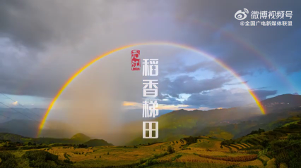 玉溪元江：金色梯田稻谷飘香，哈尼族人民在梯田畔劳作、歌舞，丰收之喜溢于言表。