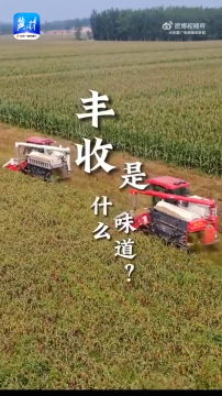丰收的河北，就是这个味儿！