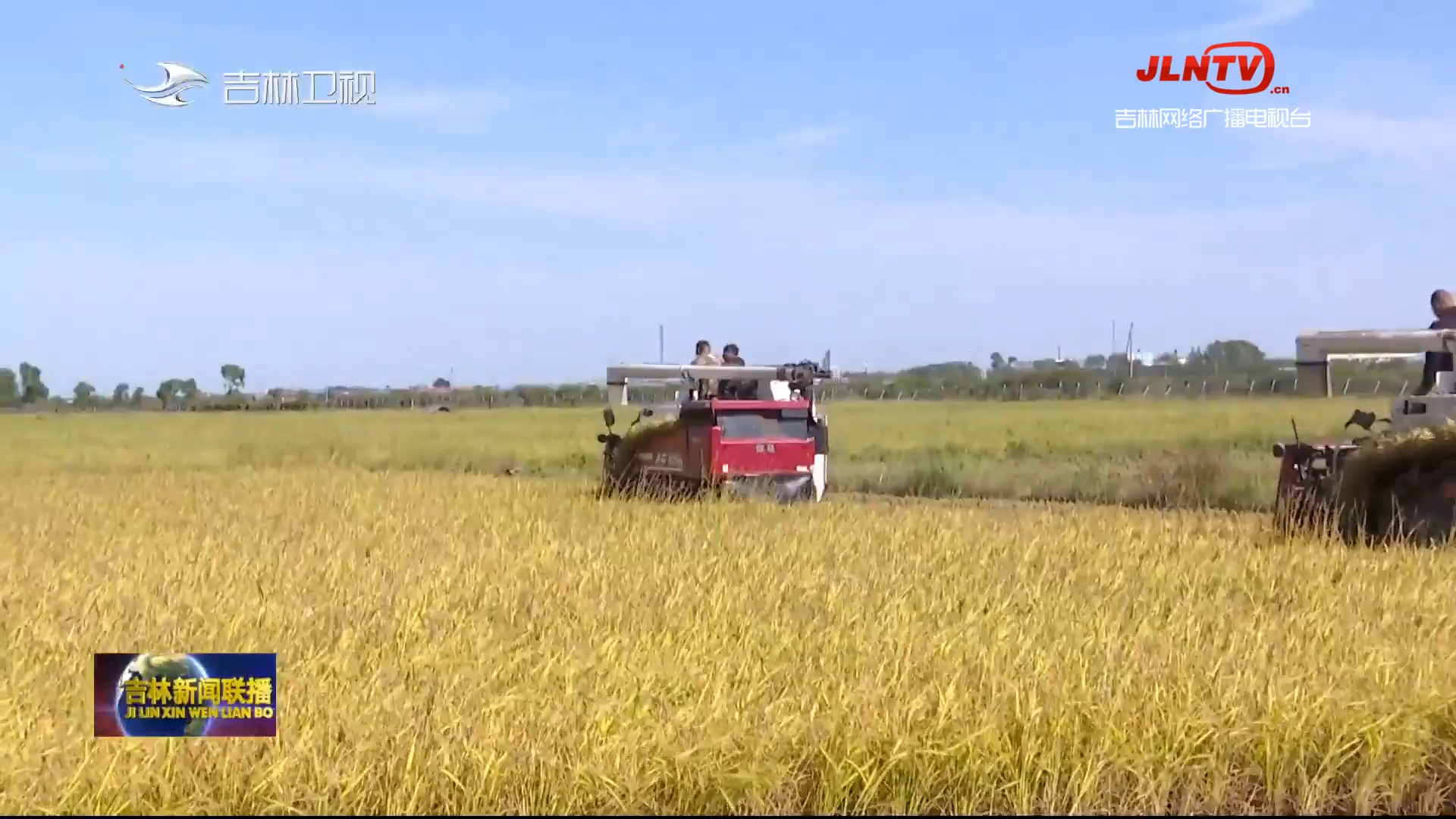 【向收获出发·丰收在“吉”】吉林：稻穗飘香秋收忙 各地水稻收割陆续开镰