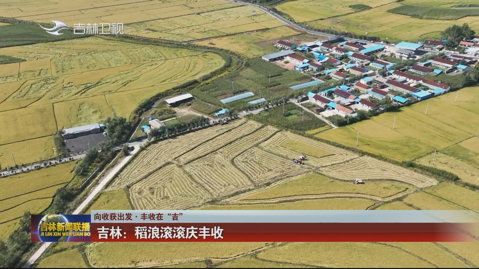 【向收获出发·丰收在“吉”】吉林：稻浪滚滚庆丰收