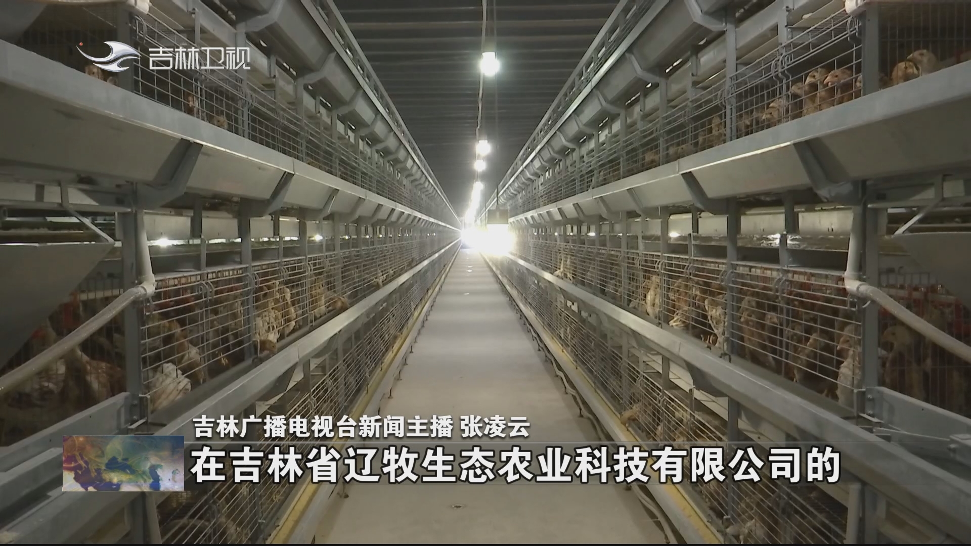 【主播打卡新吉林之产业高级化】吉林：锚定万亿级产业 深耕农产品精深加工