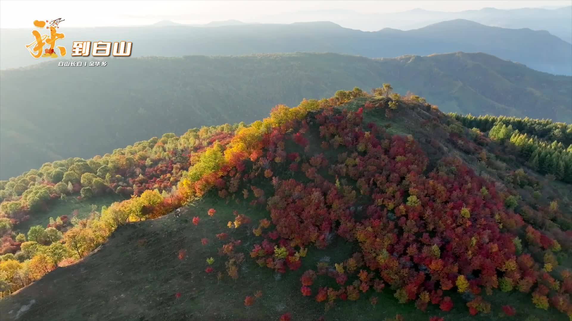 秋到白山丨金华乡