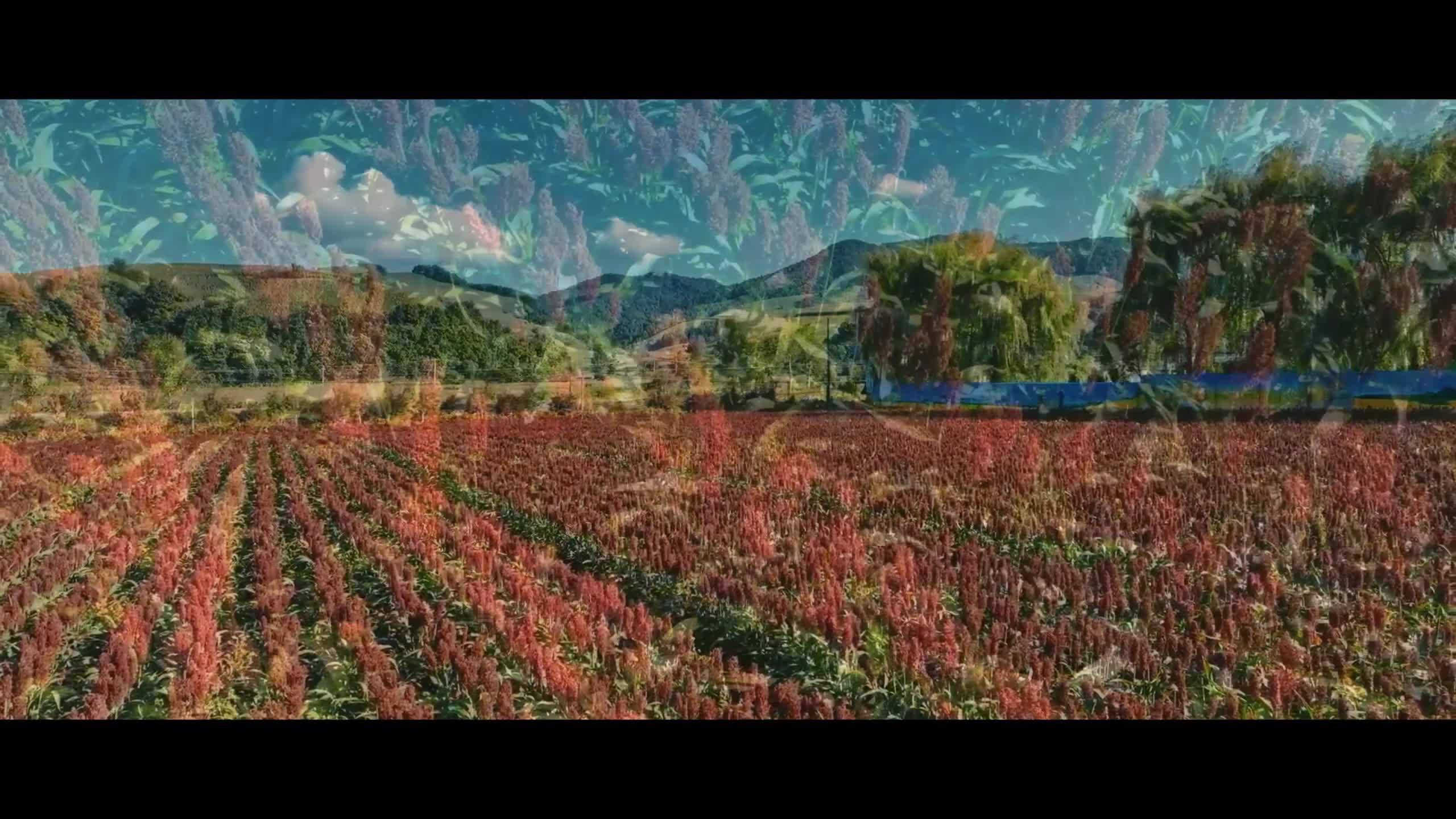 假期来靖宇吧，一个有诗度的地方