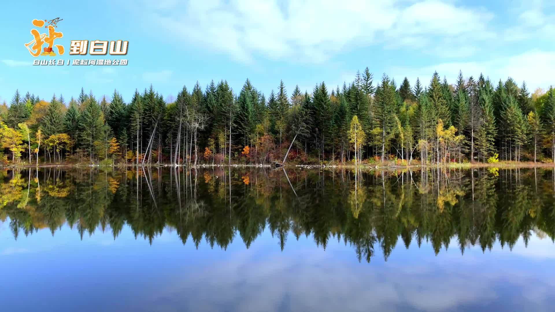 秋到白山丨泥粒河湿地公园