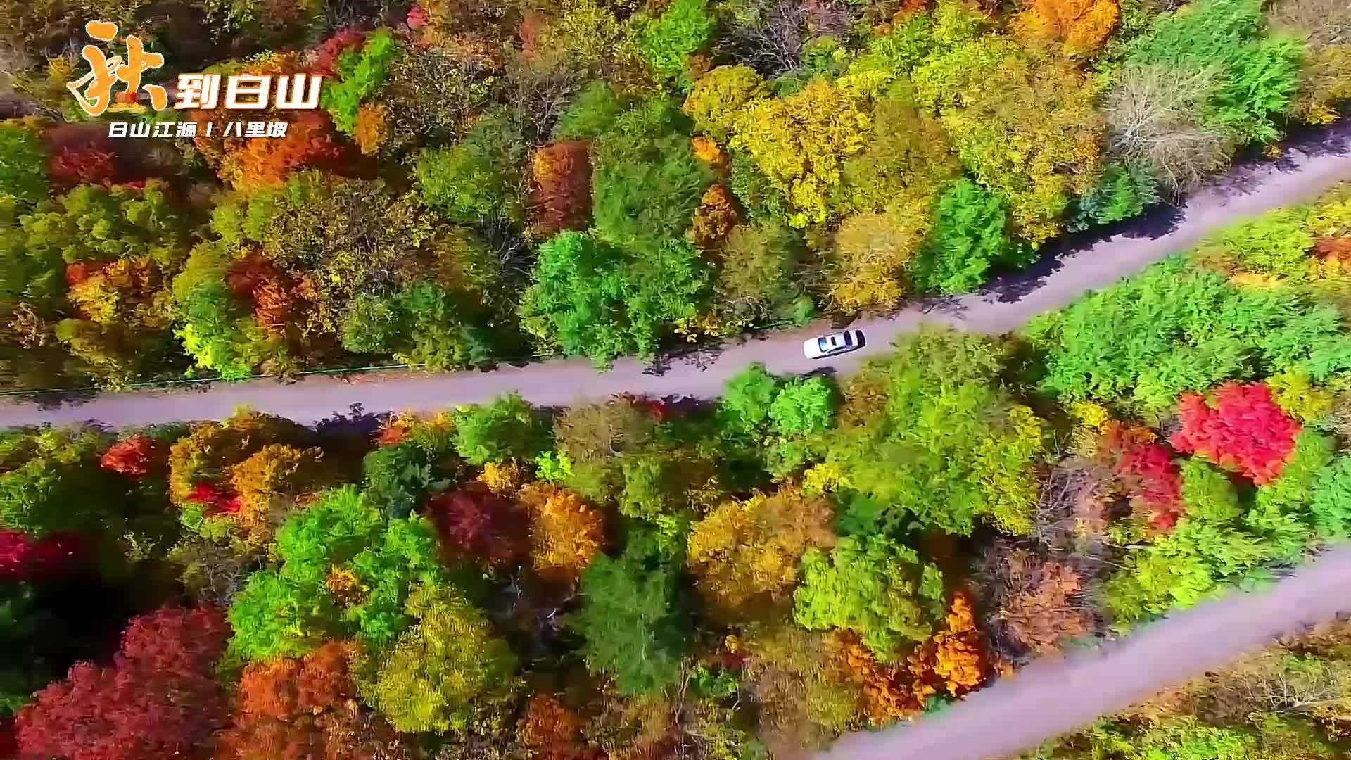秋到白山丨八里坡