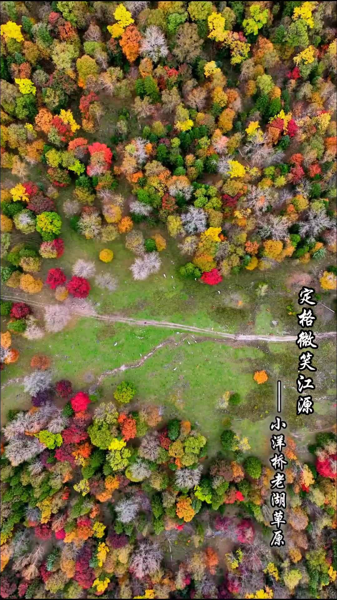 微笑江源-小洋桥老湖草原