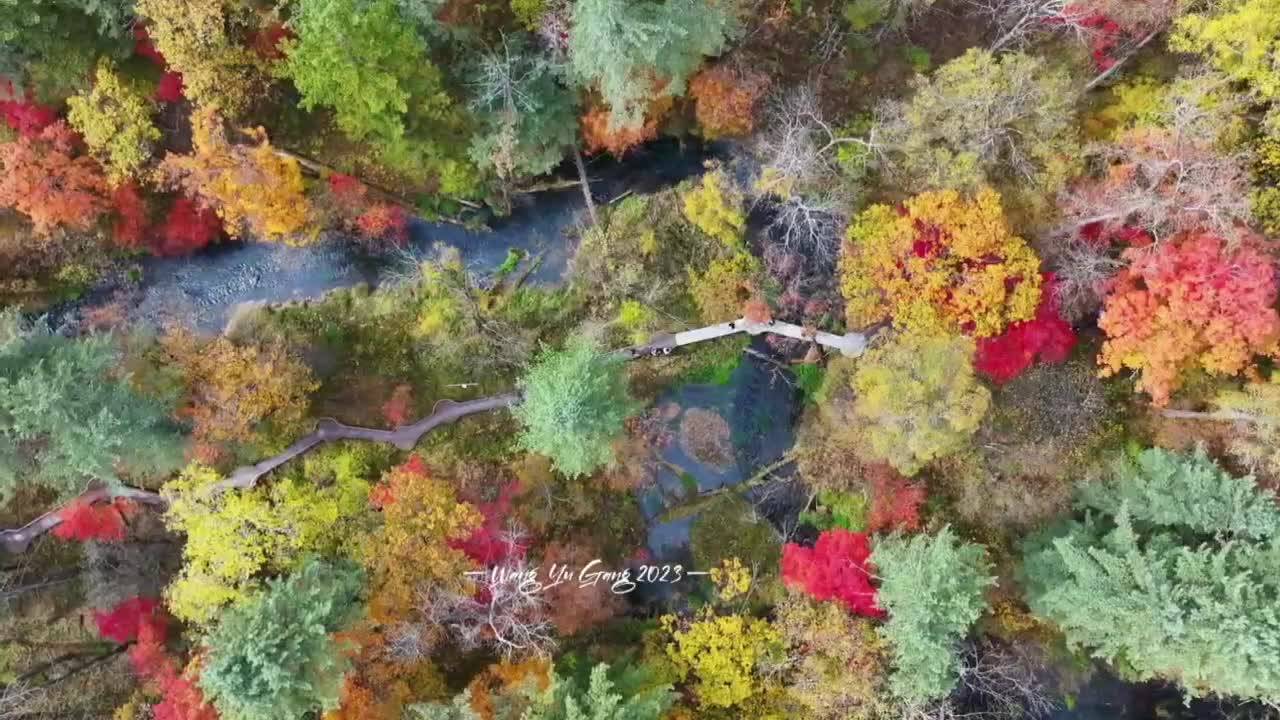秋到白山丨露水河长白山狩猎度假区