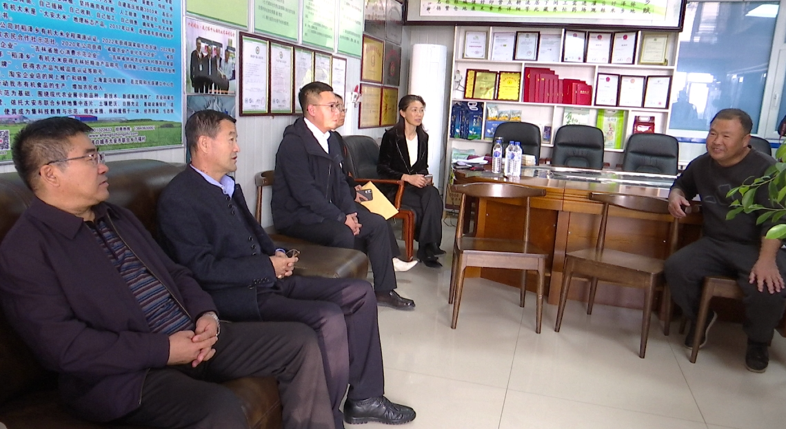 市政协开展重点提案督办视察活动